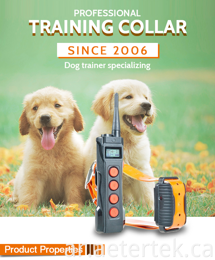 Dog Electronic Training Collar Waterproof